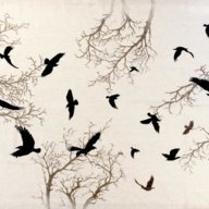Blackbird